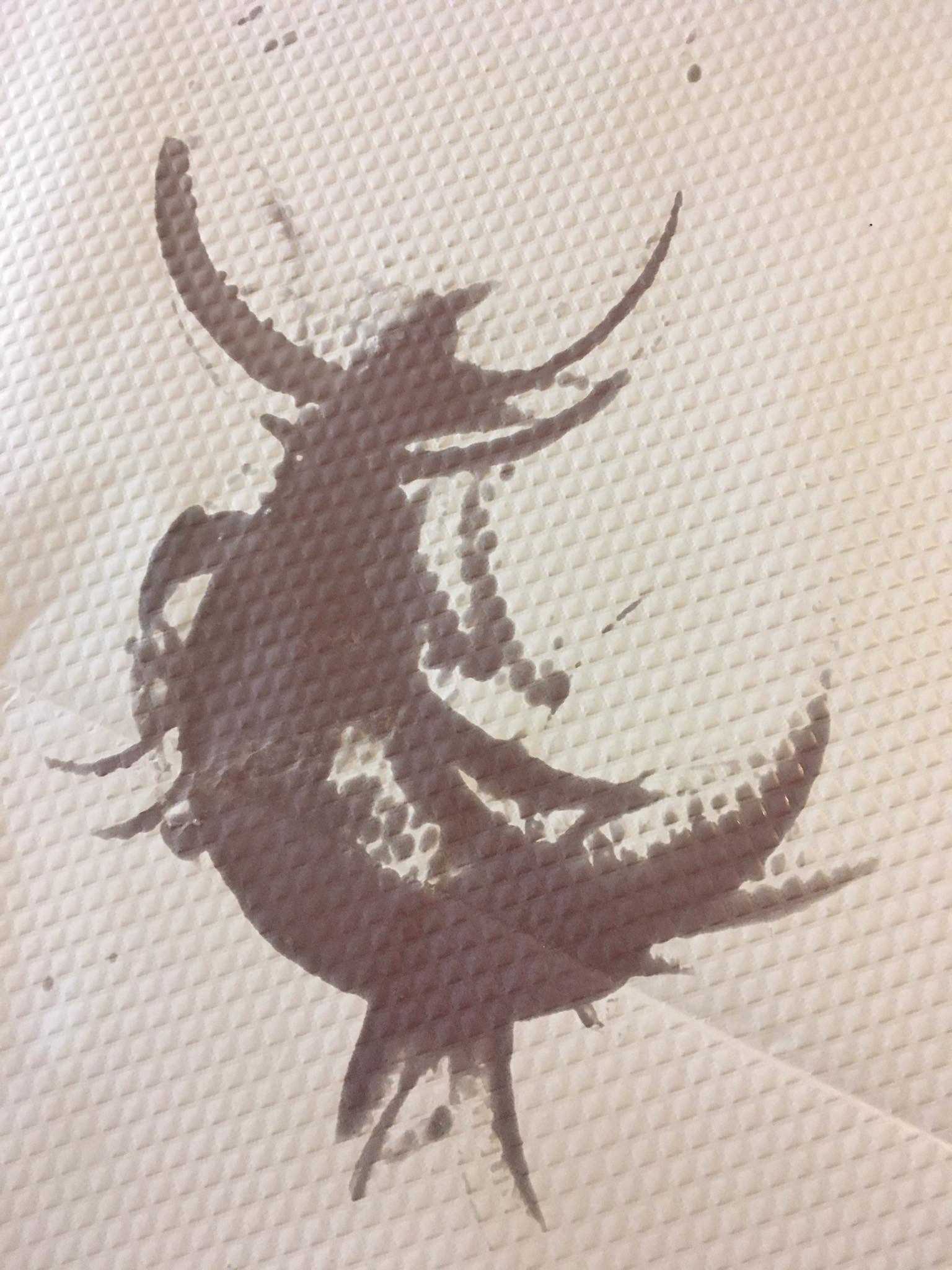 Forme inattendue dessinée sur le papier de table