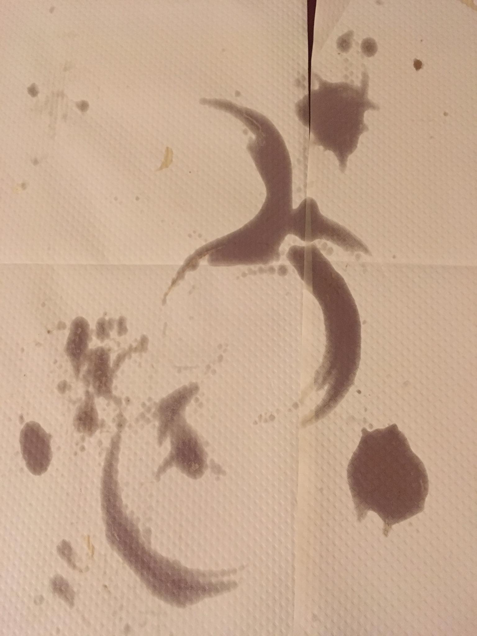 Dessin naturel sur le papier de table